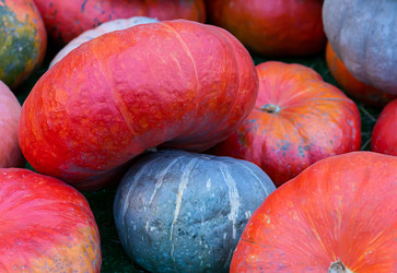 Similar image 16982323