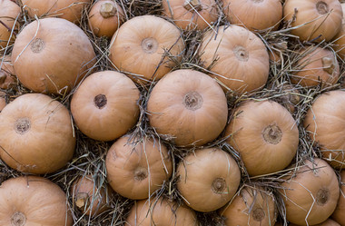 Similar image 16982340