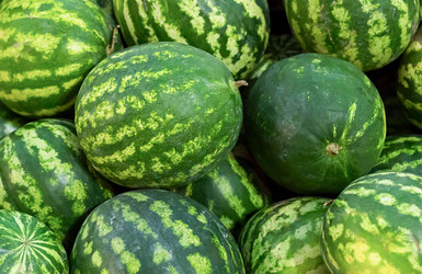 Similar image 16982551