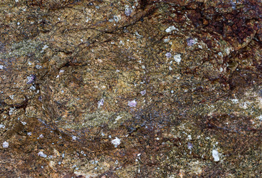 Similar image 16982606