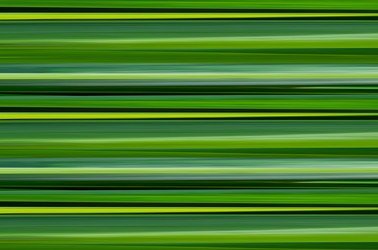 Similar image 17247696