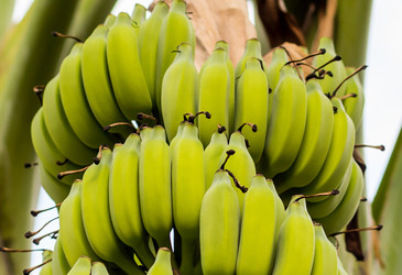 Similar image 17247672