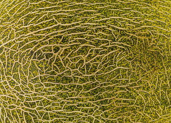 Similar image 16952998