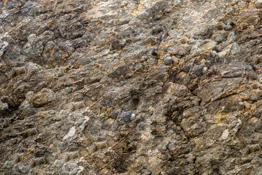 Similar image 16978288