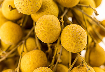 Similar image 17247746