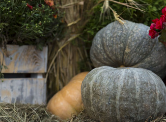 Similar image 16946635