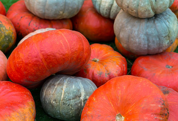 Similar image 16946695