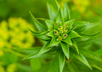 Similar image 16946520