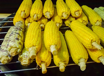 Similar image 16951732