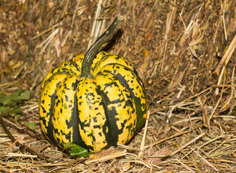 Similar image 16952228