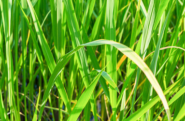 Similar image 17247702