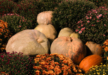 Similar image 16952780