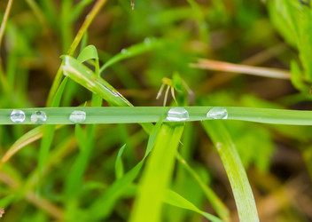 Similar image 16952898