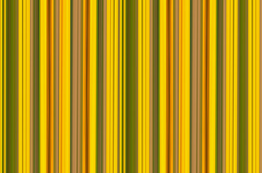 Similar image 16953038