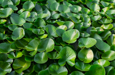 Similar image 16953128