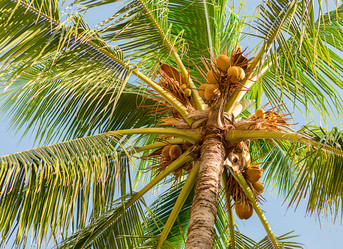 Similar image 16979586