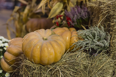 Similar image 16946576