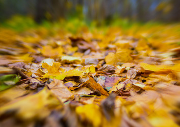 Similar image 16946626