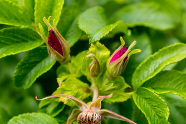 Similar image 16950011