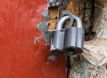 Similar image 16950021