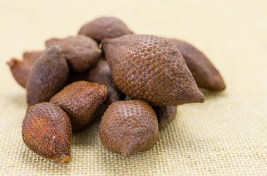 Similar image 16951803