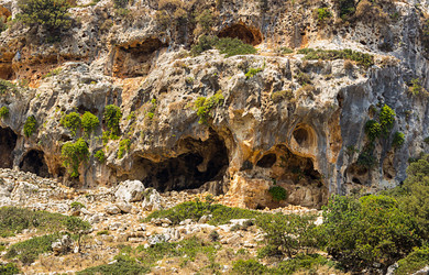 Similar image 16951812