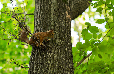 Similar image 16951877