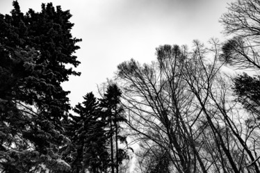 Similar image 17241664