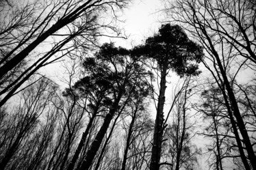 Similar image 17241665