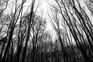 Similar image 17241666