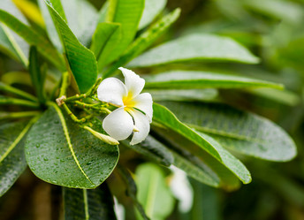 Similar image 16952058