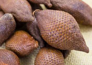 Similar image 16952079