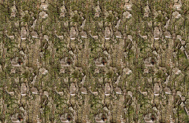 Similar image 16952092