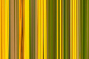 Similar image 16952311