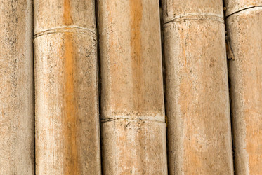 Similar image 16952771