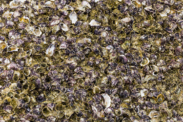 Similar image 16953150