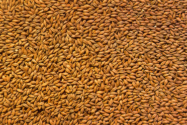 Similar image 16948123