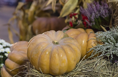 Similar image 16950064