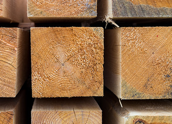 Similar image 16953198