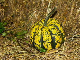 Similar image 16952962