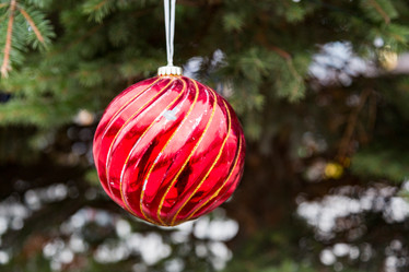 Similar image 17241710