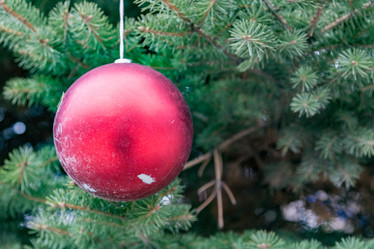 Similar image 17241713