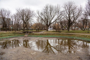 Similar image 17248528