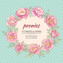 Similar image 17245205