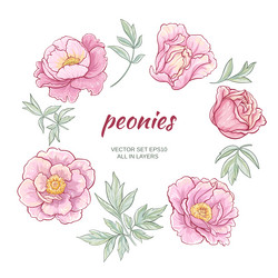 Similar image 17245228