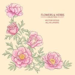 Similar image 17245229