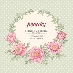 Similar image 17245238