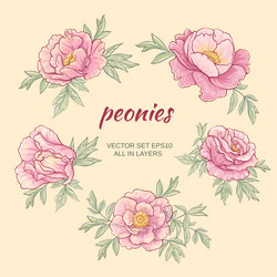 Similar image 17245239