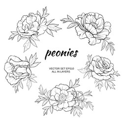 Similar image 17245270