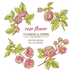 Similar image 17245271